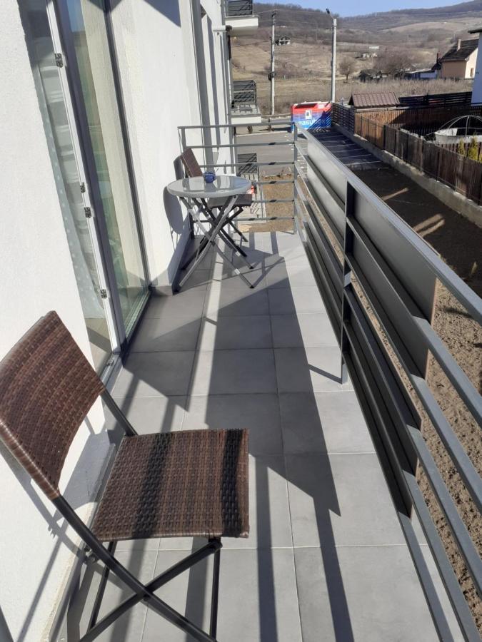Sara Apartman Livezeni  エクステリア 写真