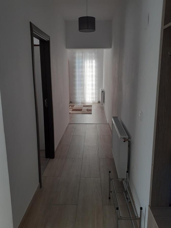 Sara Apartman Livezeni  エクステリア 写真