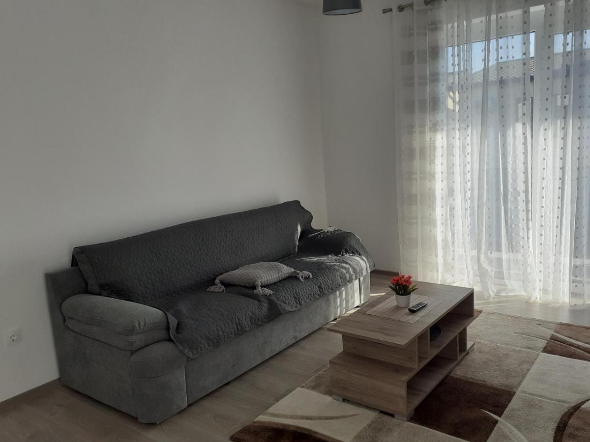 Sara Apartman Livezeni  エクステリア 写真