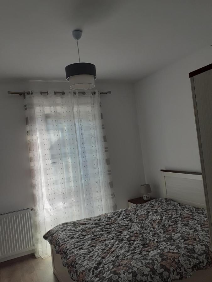 Sara Apartman Livezeni  エクステリア 写真